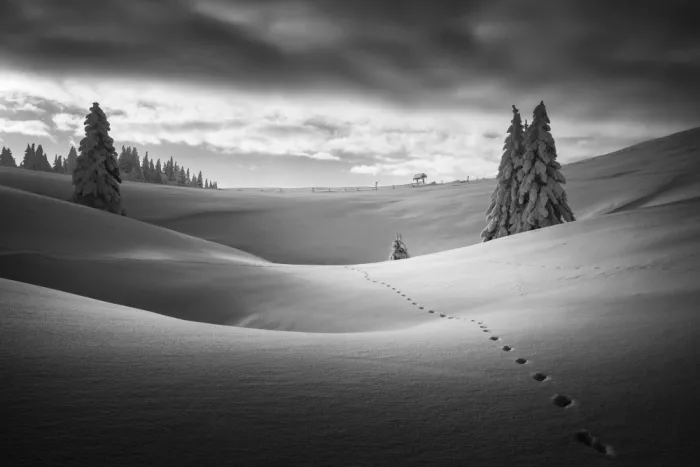 Komovec, Ales: Traces