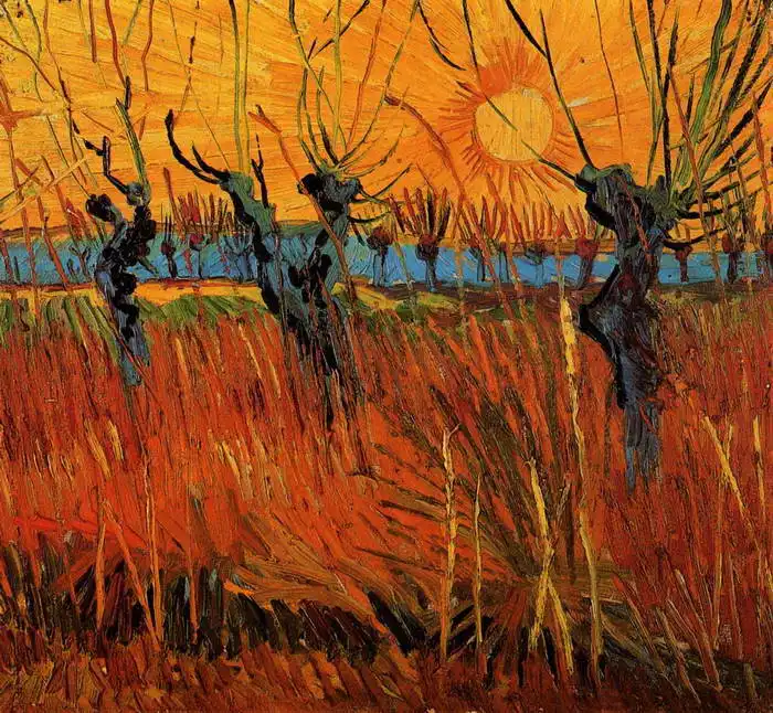 Gogh, Vincent van: Salice al tramonto