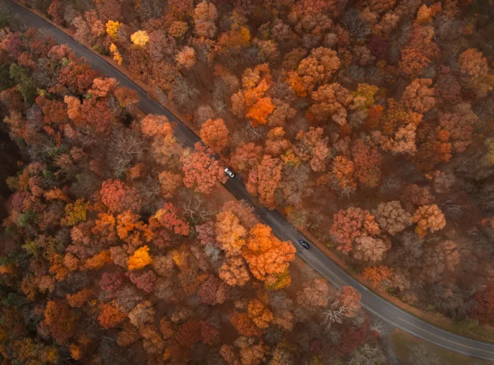 Lu, Ling: On the Road of Autumn
