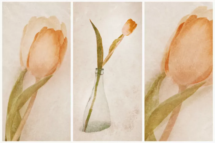 Davidsson, Gustav: Tulip Triptych II