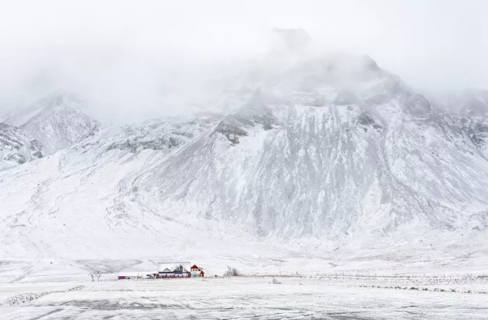 P., Ruiqing: Stillness in snow