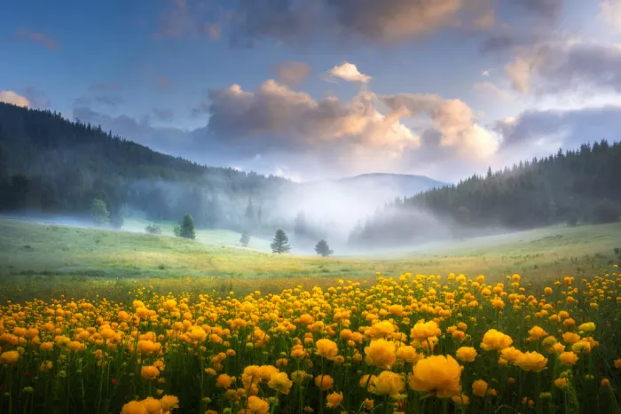 Alexandrov, Alexander: Morning i Rila mountain