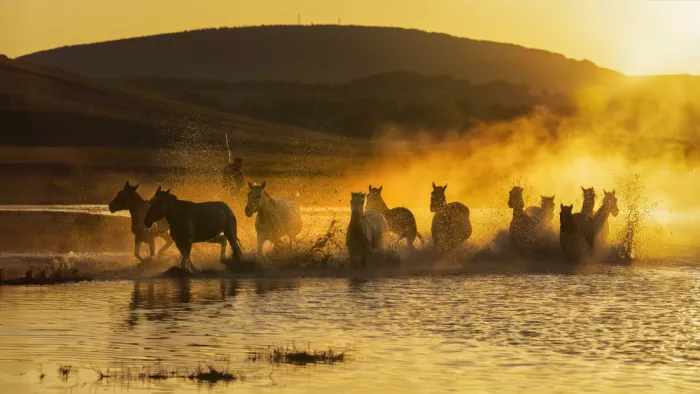 Maymayphoto: The Dance of Light and Water