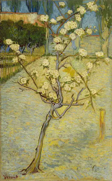 Gogh, Vincent van: Flowering pear