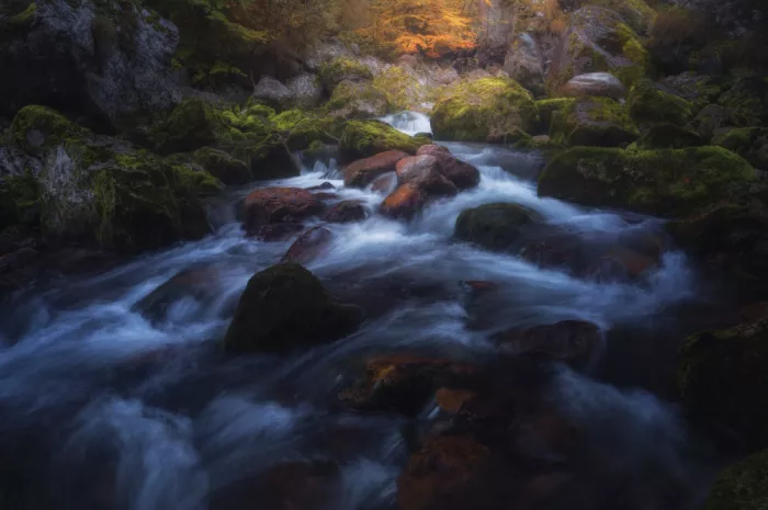 Franzoni, de Thomas: Wo der Fluss träumt