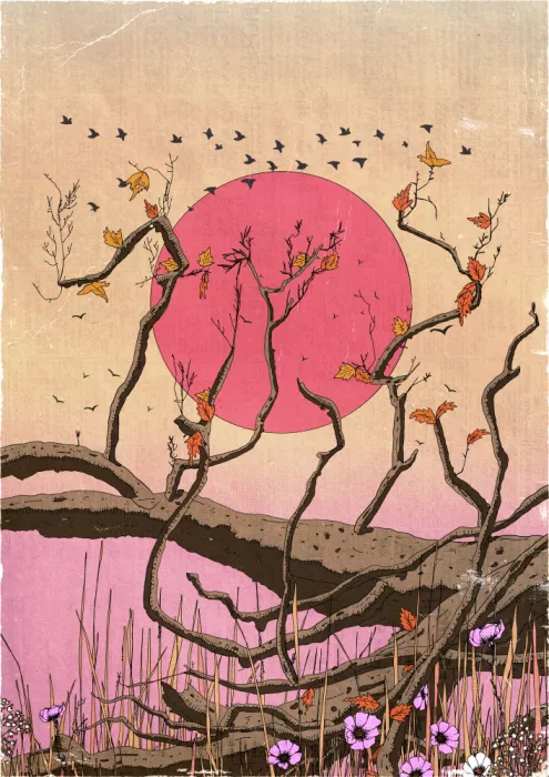 Nicholas: Un coucher de soleil apaisant