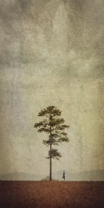 Novichikhin, Evgenii: Loneliness