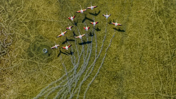 Meirovich, Ido: Muddy takeoff