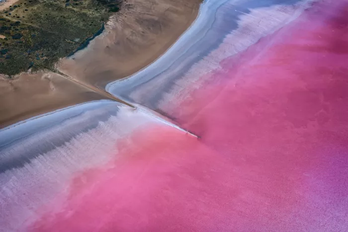 Yu, Zhen James: Pink Devide