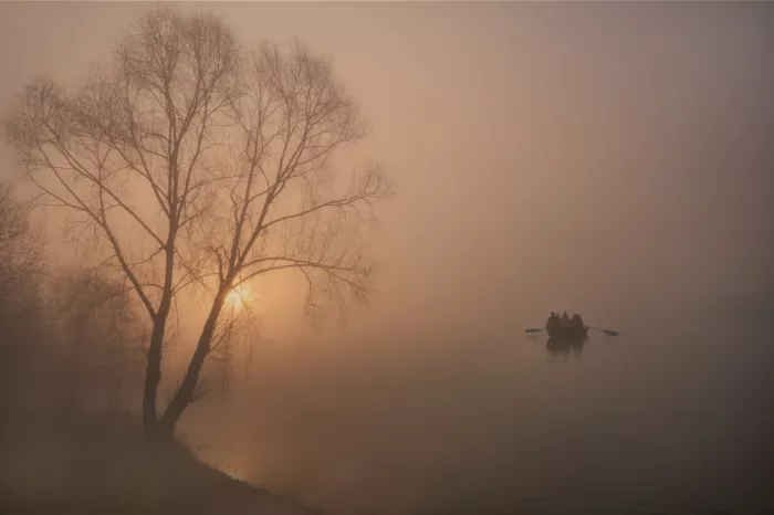 Urlings, Lou: Stillness