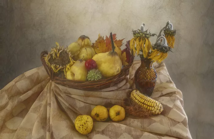 Stas, Marie-anne: Still life with quinces