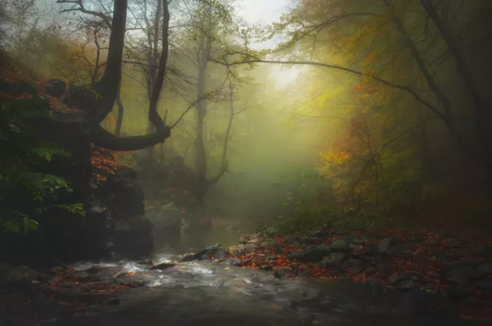 Alexandrov, Alexander: Autumn is painting
