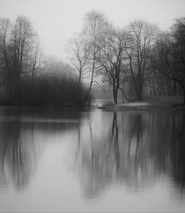 Urbonavičienė, Ingrida: Morning fog