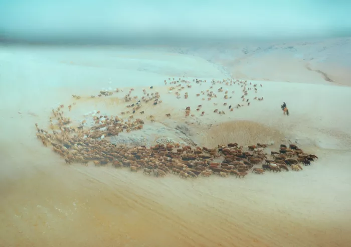 Hongchao, and Gu: Flow Of Life Across The Dunes