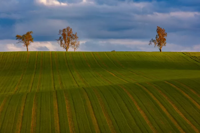 Hrabinsky, Peter: Above the Vazec 3