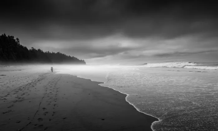Li, Bing: Un jour brumeux sur le West Coast Trail