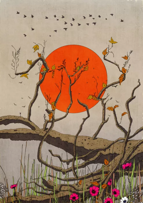 Nicholas: Un coucher de soleil apaisant