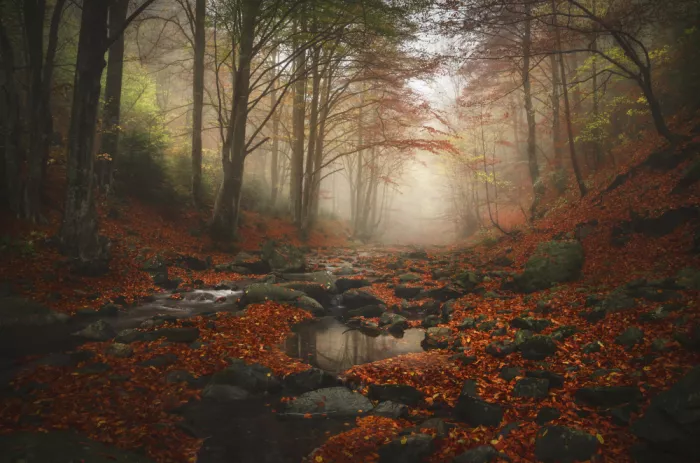 Alexandrov, Alexander: Autumn whisper