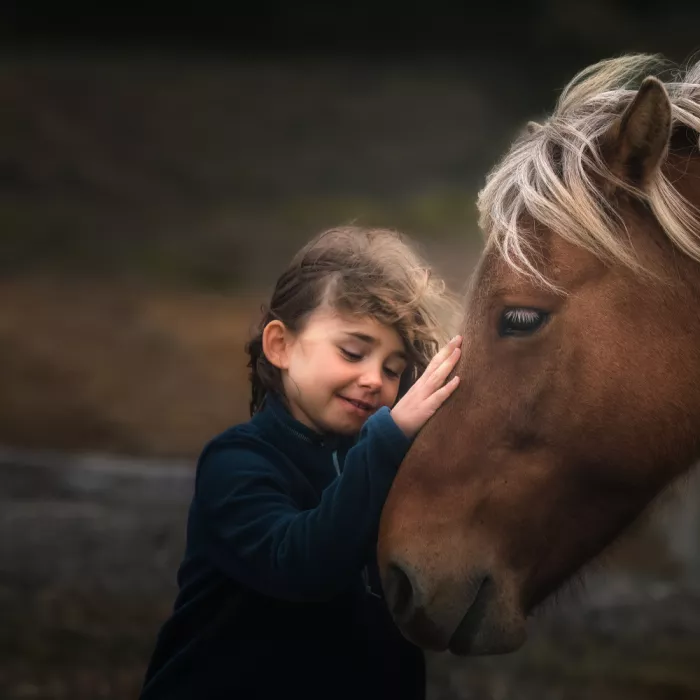 Ning, Aidong: Girl and Horse
