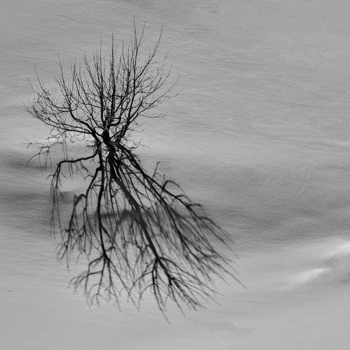 Borsan, Valentin: ​Winter Self-Portrait