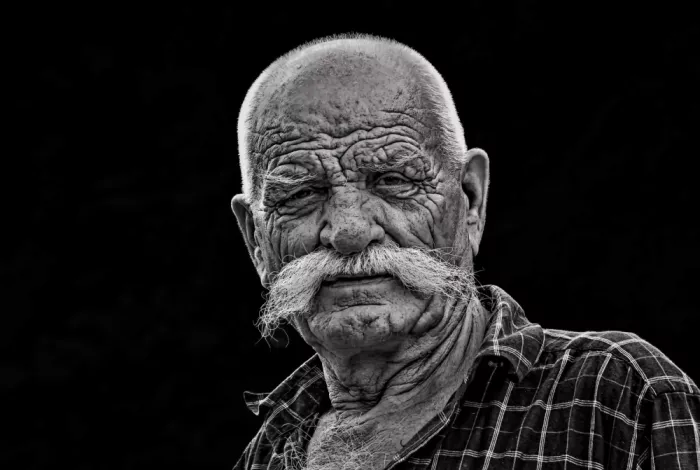 Jubic, Srecko: The moustache