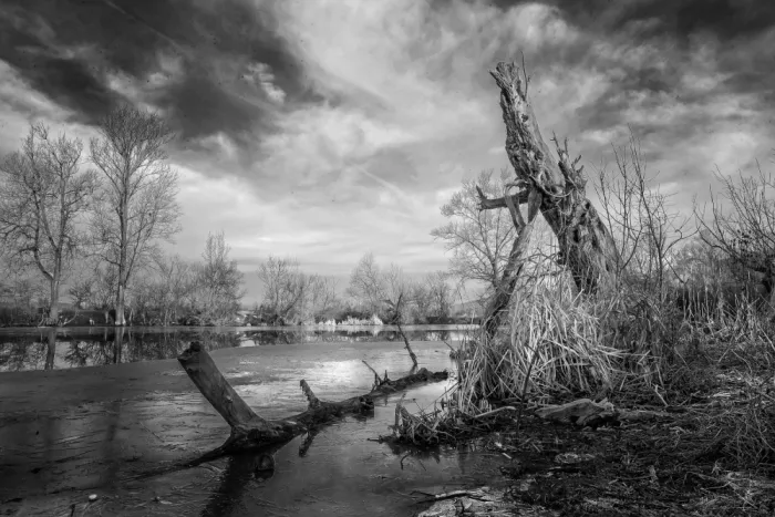 Calin, Silvia Rucsandra: Ice on the shore BW