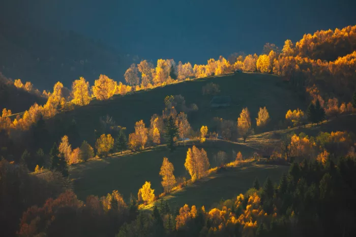 Ovidiu, Ioan Lazar: Candles