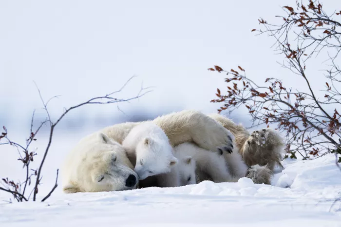 Qin, Xuemei: Un moment tendre