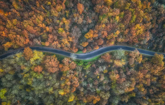Krier, Guy: Autumn Road
