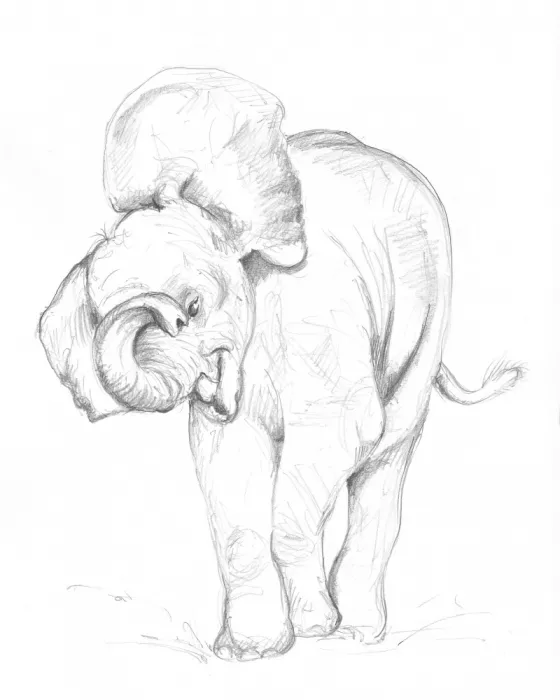 Brent, Isabelle: Bébé Éléphant 02