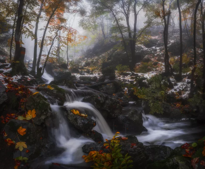 Alexandrov, Alexander: Groovy autumn time