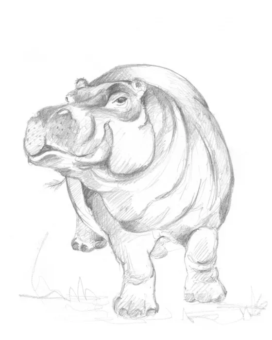 Brent, Isabelle: Hippopotame 01