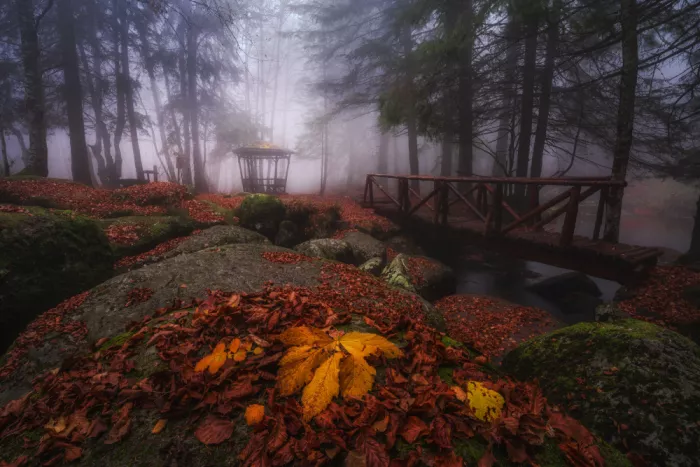 Alexandrov, Alexander: A little melancholic mood