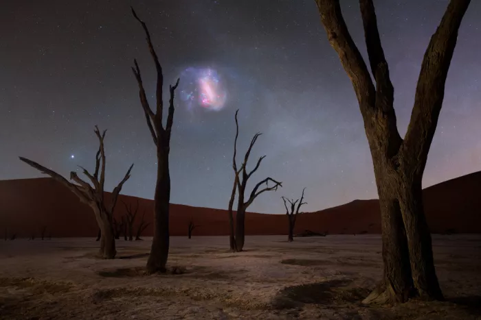Chander, Vikas: LMC a DeadVlei