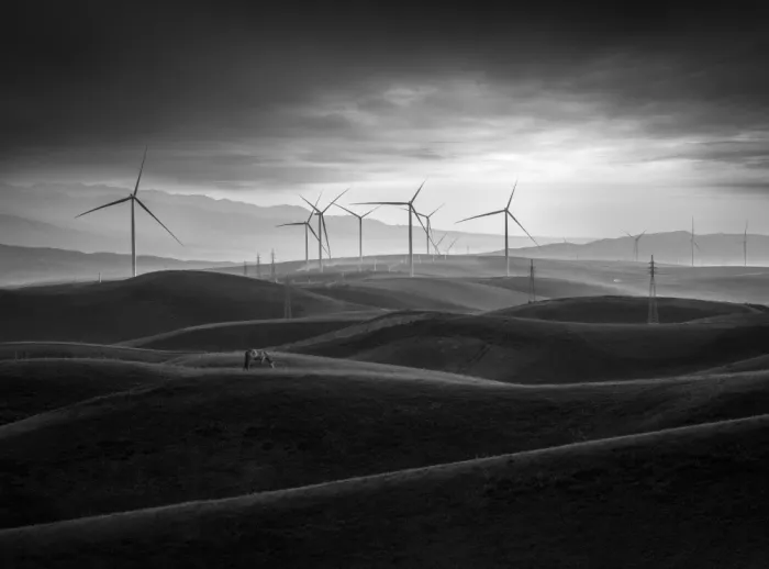 Wu, Irene: Valley of the Wind