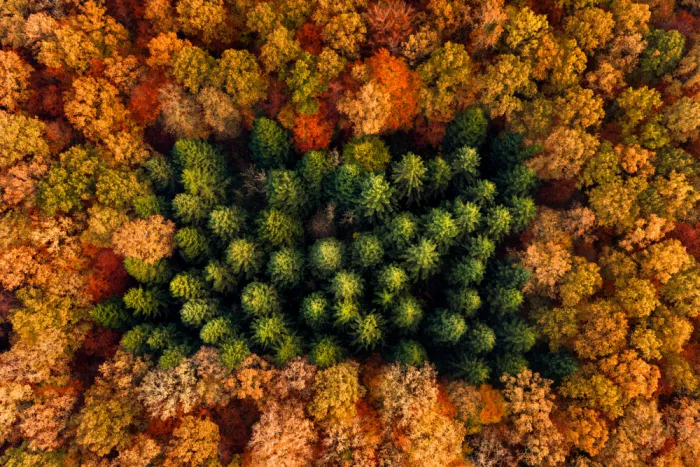 Keller: wrapped in autumn