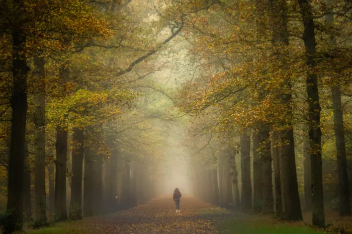 Haaksma, Piet: Walking towards the light