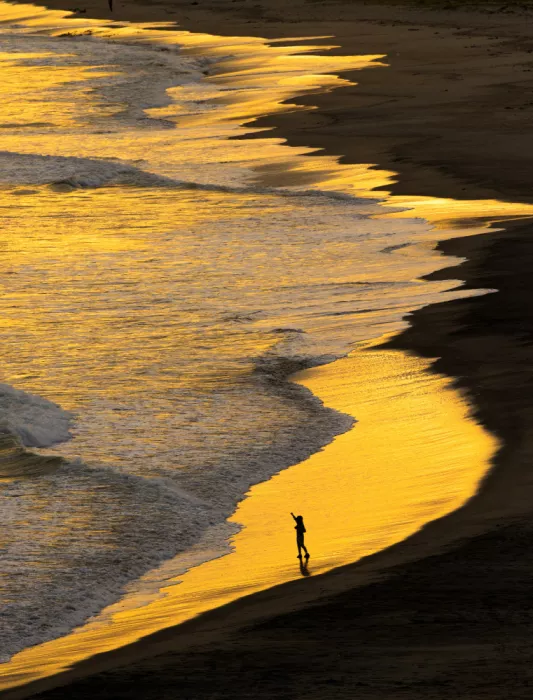 Sakamoto, Tsutomu: Golden coast