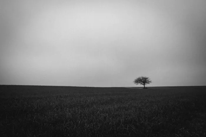 Wasinger, Renate: a place of silence