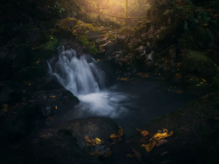 Franzoni, de Thomas: Autumn Falls Silent
