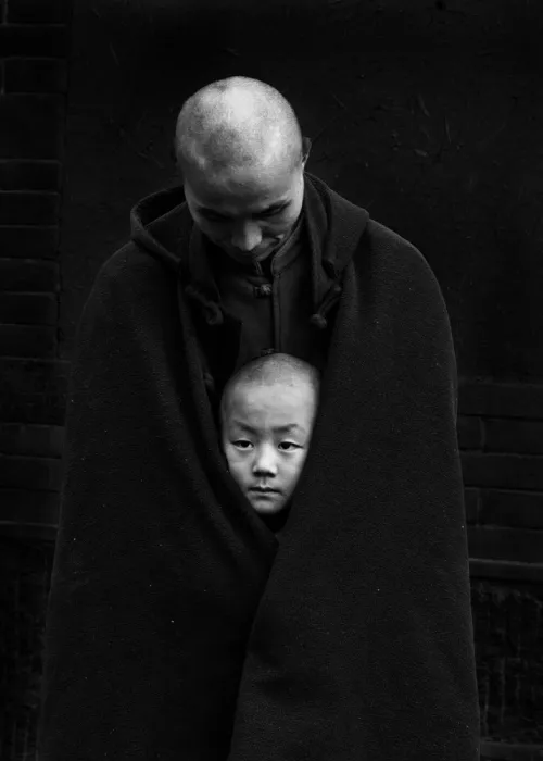 Zhang, Dennis: Maestro e discepolo