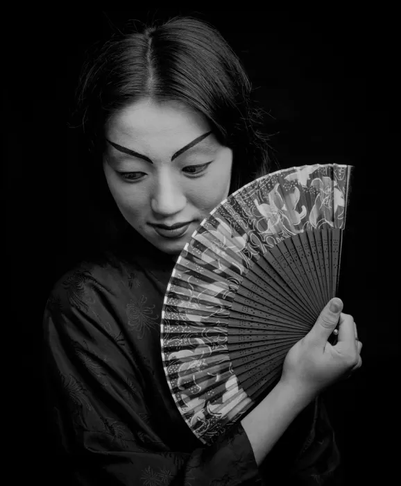 Li, Allan: Elegance in Shadow