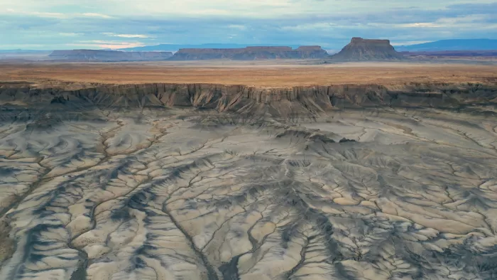 Lu, Linda: Desert