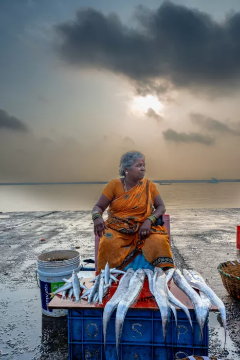 GV, BALASUBRAMANIAN: Kasimedu Fishing Harbour