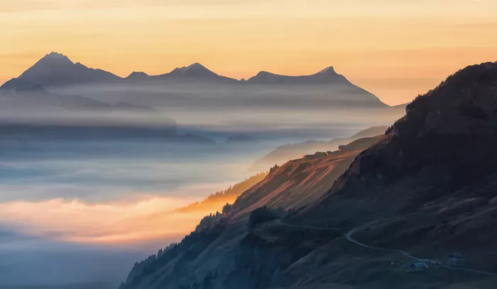 Hermann, Uschi: Abendlicht