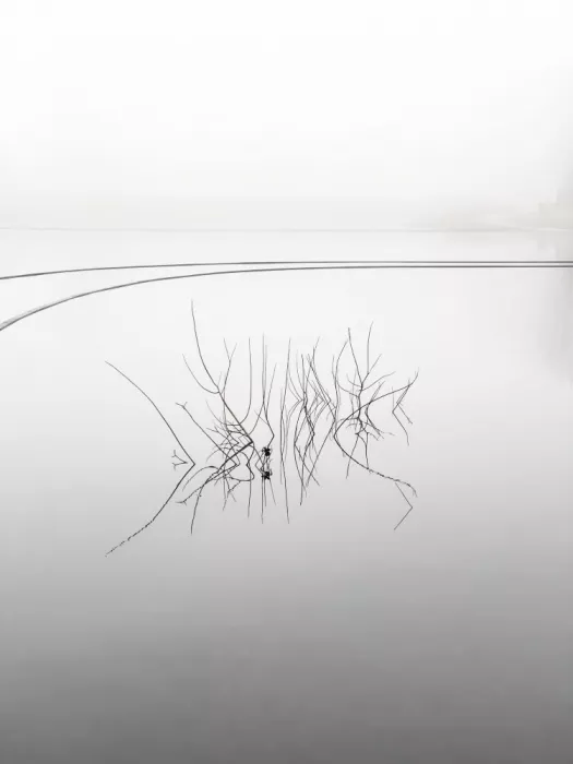 PEJ, By: Lac de pluie 01
