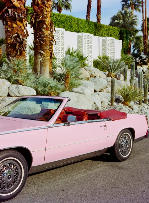 Young, Bethany: Jízda Palm Springs II