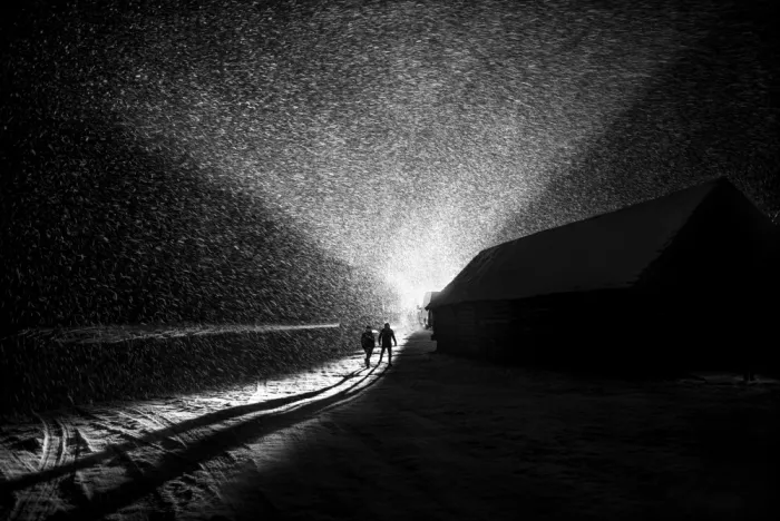 Szmidt, Waldemar: snowy night