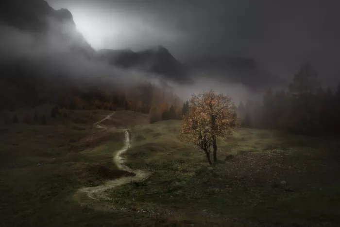 Manini, Filippo: When the Earth falls asleep