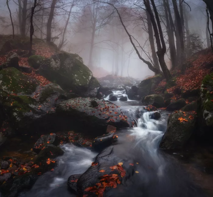 Alexandrov, Alexander: With the setting autumn